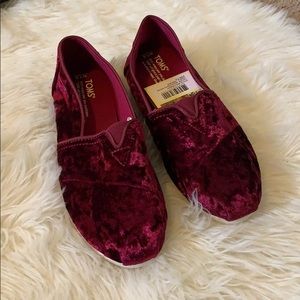 Crushed Black Cherry Velvet Toms - Brand new!